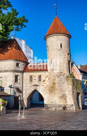 Viru-Tor (Viru Väravad) mittelalterlicher Wachturm am Eingang zur Altstadt von Tallinn – Tallinn, Estland, Nordeuropa Stockfoto