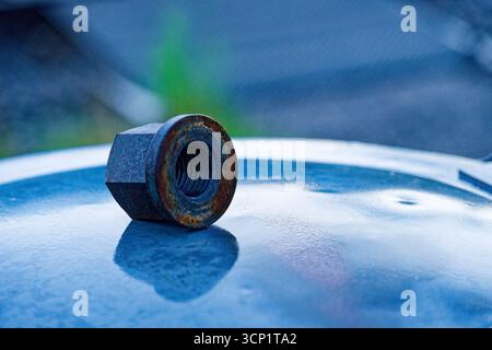 Eine runde, rostige Hutmutter liegt auf einer nassen Metallplatte auf. Orangefarbene Flecken blühen auf der dunklen Oberfläche, während dünne Wasserfilme ein stumpfes Licht reflektieren. Kratzer Stockfoto