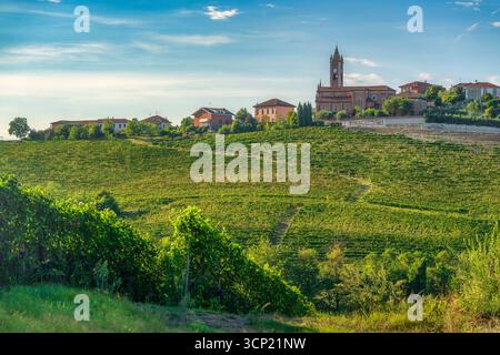 Santo Stefano Canetto Weiler Montegrosso d'Asti mit Kirchturm umgeben von Weinterrassen in der Weinregion Langhe, Piemont, Ita Stockfoto