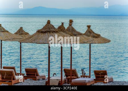 Das ruhige Ohrid Lake Shore mit Strohschirmen, hölzernen Sonnenliegen, einer verspielten Katze und einem anmutigen Schwan bei Sonnenuntergang Stockfoto