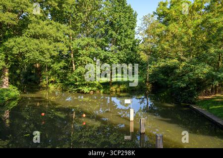 Schleuse auf der Wasserstraße, Spree im Sommer, Spreewald, Brandenburg, Deutschland Stockfoto