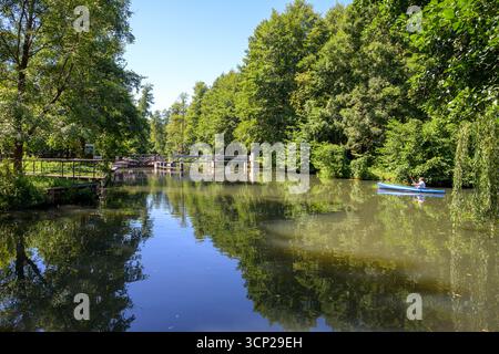 Bach im Spreewald, Schleusentor am Wasserlauf, Brandenburg, Deutschland Stockfoto