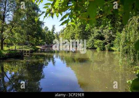 Fluttor am Wasserlauf, Bach im Spreewald, Brandenburg, Deutschland Stockfoto