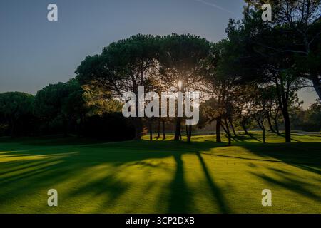 Golfplatz mit Bäumen und Teich Stockfoto