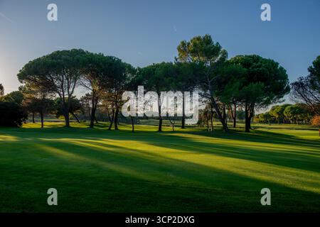 Golfplatz mit Bäumen und Teich Stockfoto