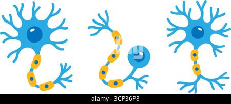 Verschiedene Neuronzelltypen mit Dendriten, Axonen und Myelinscheiden im wissenschaftlichen Cartoonstil Stock Vektor