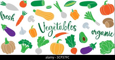 Gemüse. Frisches rohes Gemüse. Pfeffer, Karotten, Tomaten, Knoblauch, Pilze, Avocado, Kürbis, Brokkoli, Kohl, Rüben, Zucchini, Rettich, Auberginen. Stock Vektor