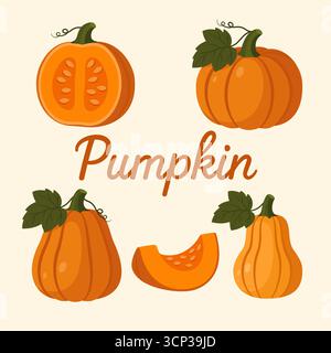 Kürbis-Set mit ganzer Schnittmenge und Gemüse in Scheiben Stock Vektor