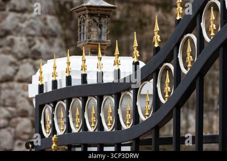 Tor aus schwarzem Schmiedeeisen mit goldenen dekorativen Elementen. Bild eines dekorativen gusseisernen Zauns. Moderne dekorative schmiedeeiserne Elemente aus Metall Stockfoto