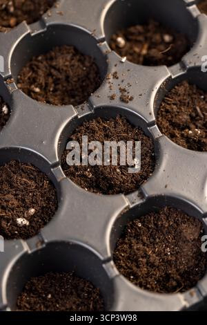 Behälter gefüllt mit fruchtbarem Boden mit einer großen Anzahl von runden Löchern für Setzlinge, eine Kunststoffschale für die Züchtung einer großen Anzahl von Setzlingen aus Landwirtschaft Stockfoto