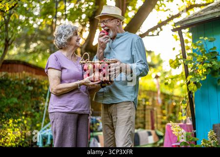 Seniorenpaar hält einen Korb voller frischer Bio-Äpfel im Garten Stockfoto