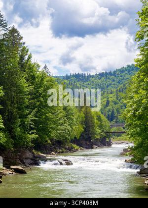 Landschaft mit Gebirgsfluss, der an einem Sommertag durch den Wald fließt. Wunderschöne Naturkulisse mit schnellem Wasserstrom mit Kaskaden und felsigem hil Stockfoto