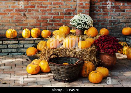 Herbstveranda mit Kürbissen auf einem Heuhaufen, Korb und Chrysanthemen-Blumen Stockfoto