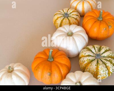 Ein festliches Arrangement aus orangefarbenen, weißen und gestreiften Mini-Kürbissen auf einem neutralen beigefarbenen Hintergrund. Perfektes saisonales Stockfoto für den Herbst Stockfoto