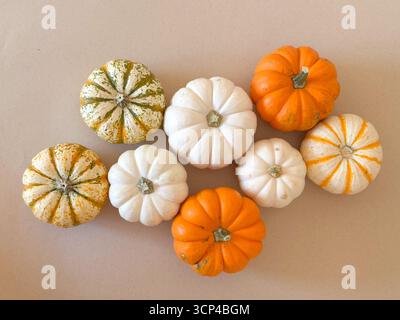 Ein festliches Arrangement aus orangefarbenen, weißen und gestreiften Mini-Kürbissen auf einem neutralen beigefarbenen Hintergrund. Perfektes saisonales Stockfoto für den Herbst Stockfoto