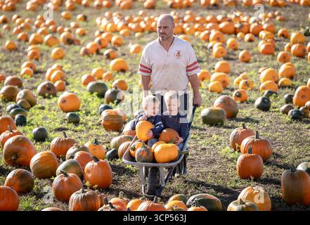 Der Bauer Tom Spilman erntet zusammen mit seinen Söhnen Freddie (links) und Olek (rechts) einige der 150.000 Kürbisse auf der Spilman's Pumpkin Farm in Sessay, nahe Thirsk, North Yorkshire, vor der Eröffnung des Pumpkin fest 2025 am Samstag. Bilddatum: Mittwoch, 24. September 2025. Stockfoto