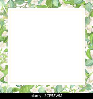Jasmin- und Eukalyptuszweige in einem quadratischen Rahmen. Weiße Blüten und grüne Blätter. Clipart mit Blumenmuster. Kopierbereich. Handgezeichnetes Aquarell illustr Stockfoto