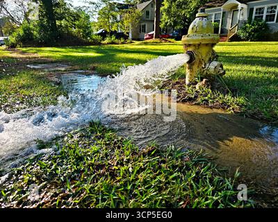 Wasser strömt aus einem offenen gelben Hydranten und bildet eine Schlammpfütze im Vorhof eines Hauses. Stockfoto