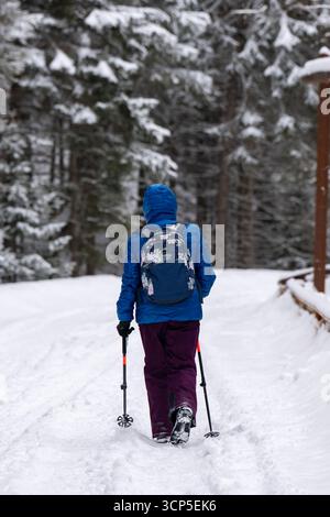 Ein Wanderer mit Trekkingstöcken spaziert über einen verschneiten Pfad im Wald. Stockfoto