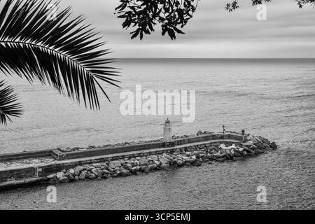 S&W. Erhöhter Blick auf den Pier mit dem Leuchtturm und Palmenzweigen im Vordergrund, Camogli (Genua), Ligurien, Italien Stockfoto