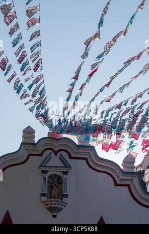 Szenen in El Tule und Santa María de la Asunción Tempel: Der größte Baum der Welt Oaxaca, Mexiko Stockfoto