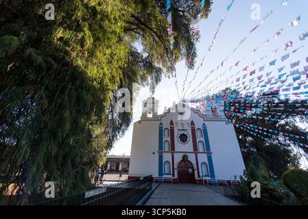 Szenen in El Tule und Santa María de la Asunción Tempel: Der größte Baum der Welt Oaxaca, Mexiko Stockfoto