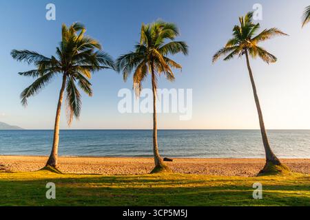 Drei Kokospalmen am Sandstrand am Meer in Romblon, Philippinen Stockfoto