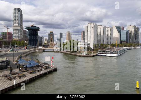 Skyline der Stadt von der Erasmus-Brücke über den Fluss New Maas, Rotterdam, Niederlande, Europa Stockfoto