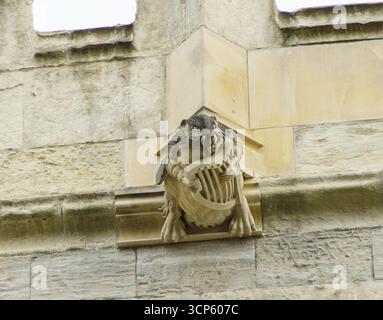 Moderne Wasserspeier, die Kreaturen aus den Chroniken von Narnia in der St. Mary's Church in Beverley, East Yorkshire, darstellen. ABGEBILDET: Biber Stockfoto