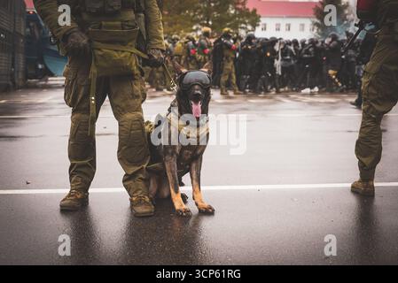 Belarussischer Soldat hält belgischen Malinois Polizeihund bei Unruhen fest Stockfoto