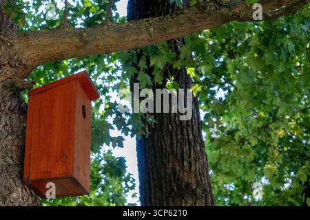 Hölzerner Vogelhaus auf einem Baumzweig in einem grünen Park, symbolisiert Tierpflege und umweltfreundliche Gartenarbeit. Stockfoto