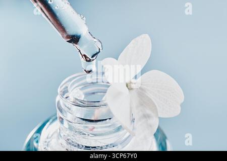 Tropfer über Flasche Serum und weiße Hortensie Blume auf blauem Hintergrund Stockfoto