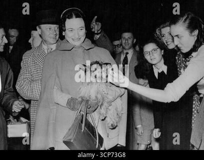 Herzog und Herzogin von Windsor kommen in ParisDer Herzog und Herzogin von Windsor - zurück aus den Vereinigten Staaten, Mexiko und Kanada sind hier abgebildet, als sie am 29. Mai mit Pookie, einem ihrer Hunde, am Bahnhof Saint Lazare in Paris ankommen. Ein Französin freundet sich mit Pookie an. Der Herzog Lächelt. Ein glücklicher Start in den Urlaub. Später will der Herzog England besuchen. Juni 1950. (Foto von zugehörigem Pressefoto). Stockfoto
