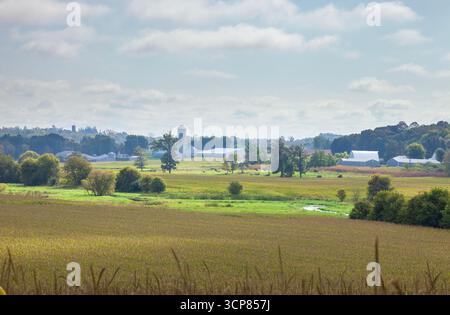 Farm und Felder im nördlichen Zentrum von Minnesota an einem nebeligen Morgen im frühen Herbst Stockfoto