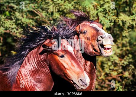 Naaah, das ist nicht die eine Stockfoto