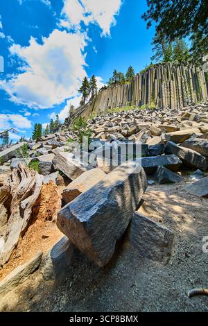 Basaltsäulen und Rocky Slope am Devils Postpile mit Pine Trees und Blue Sky Stockfoto
