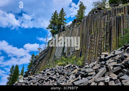 Basalt Rock Columns and Pine Trees at Devils Postpile California Under Blue Sky Stockfoto