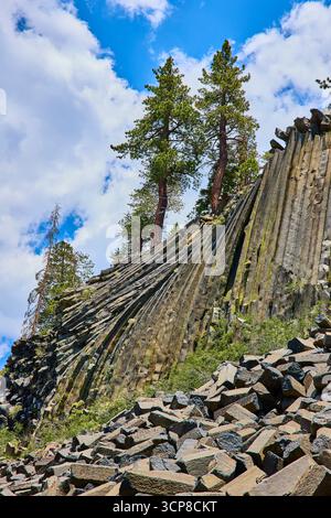 Basaltsäulen und Pine Trees at Devils Postpile with Blue Sky and Rocky Foreground Stockfoto