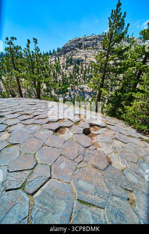 Basaltsäulen und Tannen am Devils Postpile in Kalifornien unter dem Sommerhimmel Stockfoto