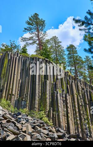 Basaltsäulen und Tannen am Devils Postpile California unter dem sonnigen blauen Himmel Stockfoto