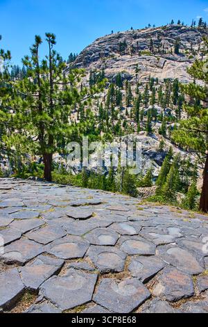 Basalt Rock Columns and Pine Trees at Devils Postpile im hellen Sommerlicht Stockfoto