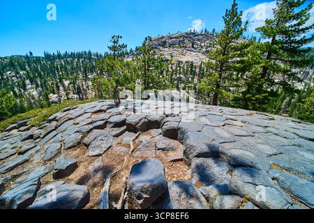 Basalt Rock Columns and Pine Trees at Devils Postpile in California Mountain Landscape Stockfoto