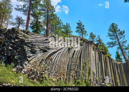 Basaltsäulen und Tannen am Devils Postpile California unter dem hellen blauen Himmel Stockfoto