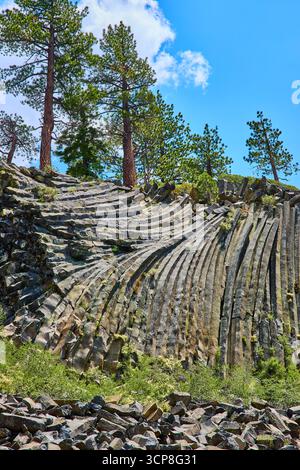 Basalt Rock Columns and Pine Trees at Devils Postpile bei hellem kalifornischem Sonnenlicht Stockfoto