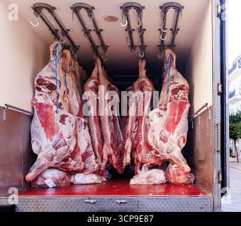 Fleischfabrik mit Schweinefleisch und Rindfleisch hängt an Haken in einem gekühlten Lieferwagen. Kaltlagerung in der Metzgerei für den Fleischvertrieb und die Lieferkette Stockfoto