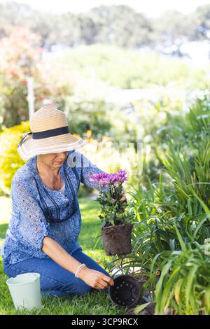 Ältere Frau mit Strohhut kniend im Garten, die Pflanzenwurzeln in der Nähe von Eimer, Topf, Kopierraum hält Stockfoto