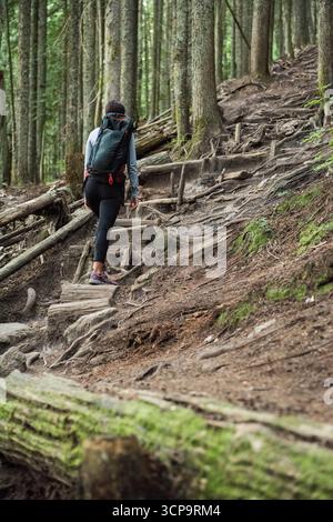 Weibliche Wanderer mit großem Rucksack, die einen steilen, immergrünen Pfad über Wurzeln und Moosbäume hinaufzieht Stockfoto