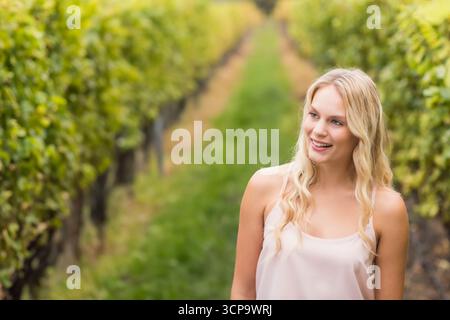 Hellhaarige Frau, die in sanftem Sonnenlicht inmitten von Weinbergsreihen auf hölzernen Gittern steht Stockfoto