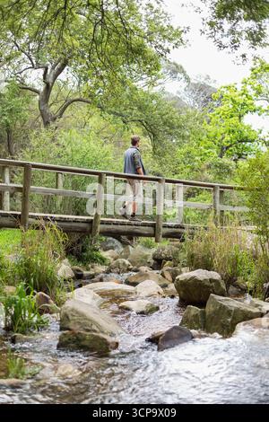 Mann, der über eine enge Holzstege über einen felsigen Bach im bewaldeten Park läuft, Kopierraum Stockfoto
