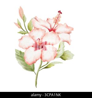 Tropische Hibiskusblüten mit Blättern und Knospen auf Zweig-Aquarell isolierte Illustration. Realistische Sommerbuspflanze im botanischen Stil. Hawaiianisch Stockfoto